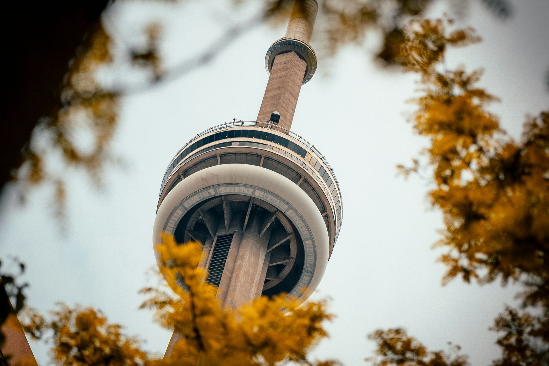 Close-up view of a large observation tower framed by blurred yellow foliage against a pale sky.